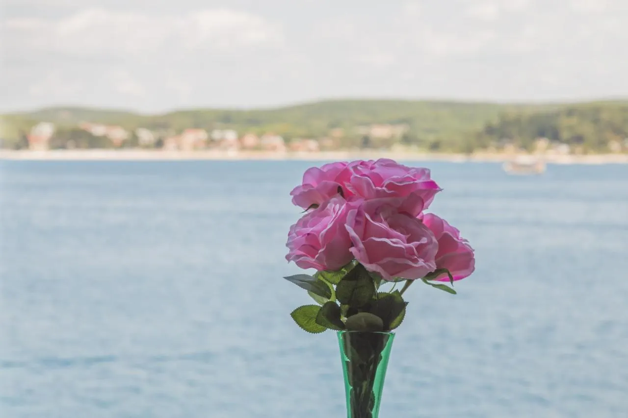 Apartment Lanterna Veneziana Ρόβινι Κροατία